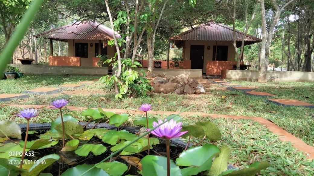 Hotel Niyagala Lodge Sigiriya Exteriör bild
