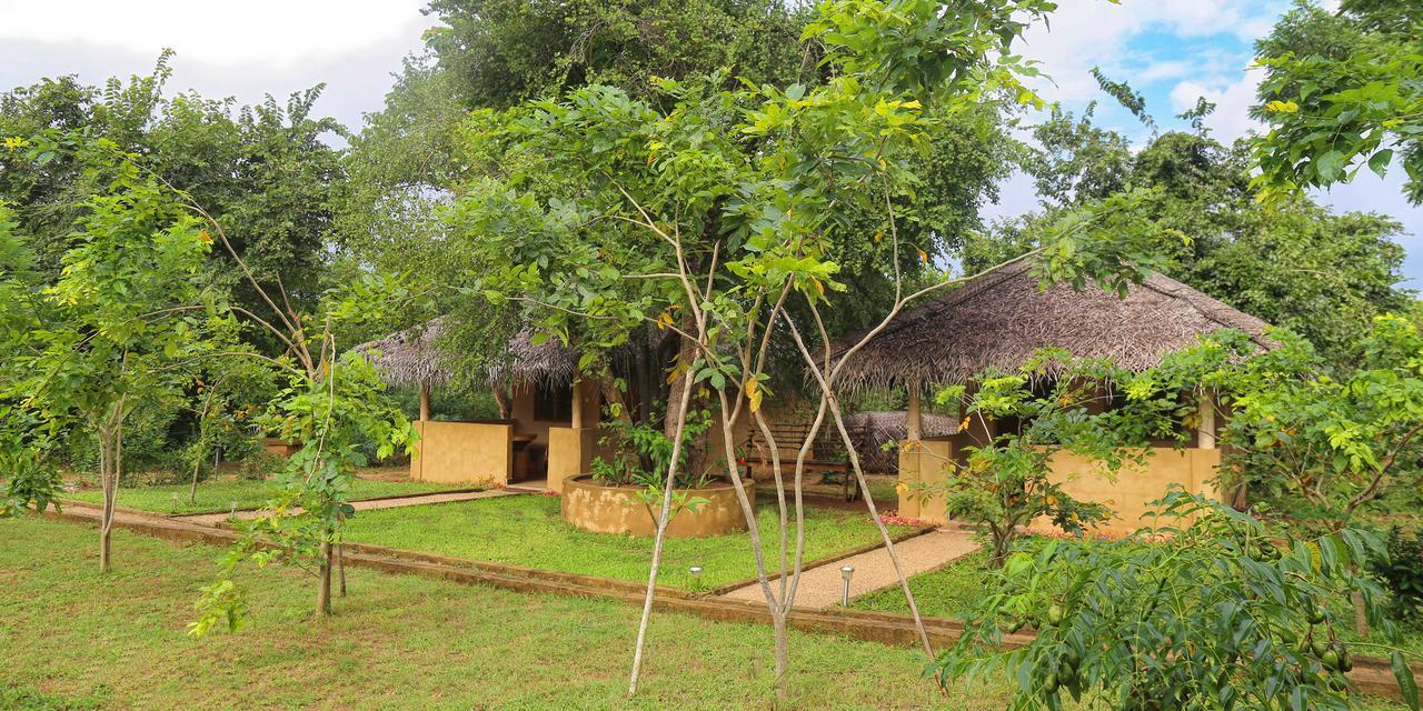 Hotel Niyagala Lodge Sigiriya Exteriör bild