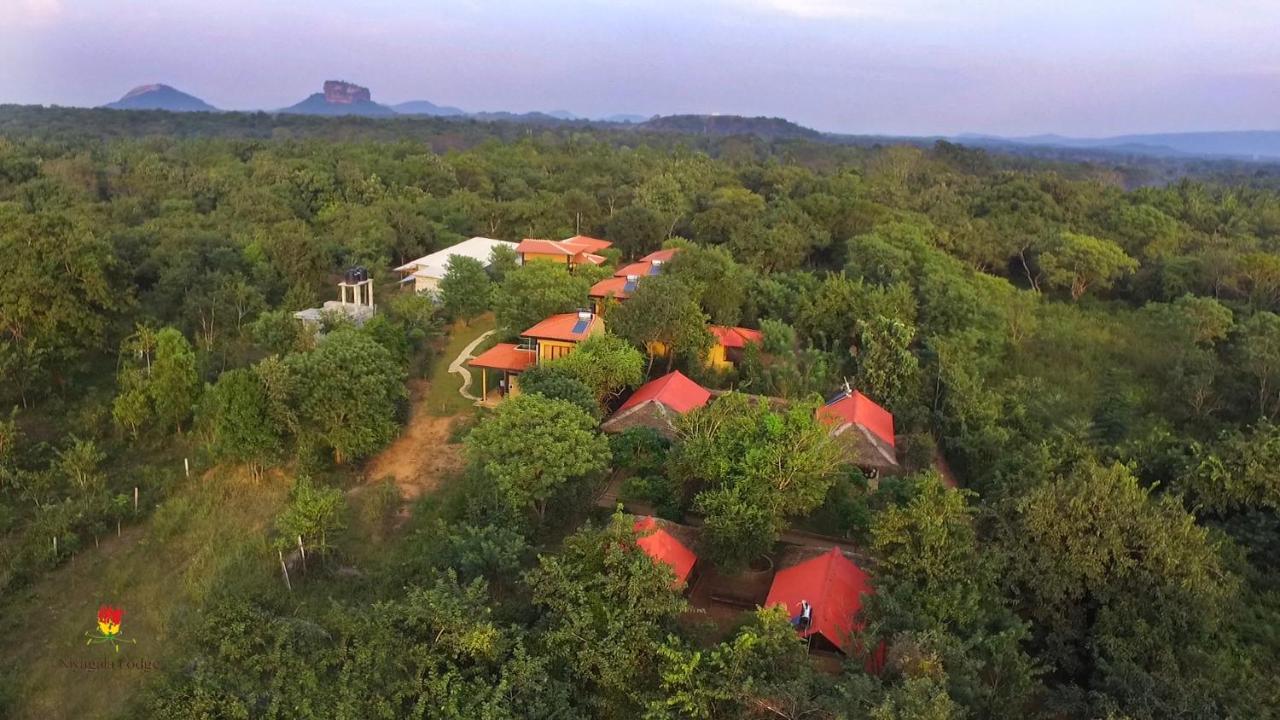 Hotel Niyagala Lodge Sigiriya Exteriör bild
