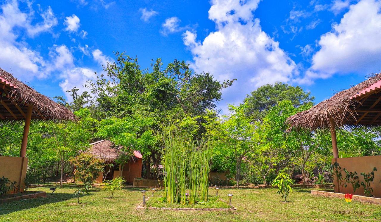 Hotel Niyagala Lodge Sigiriya Exteriör bild