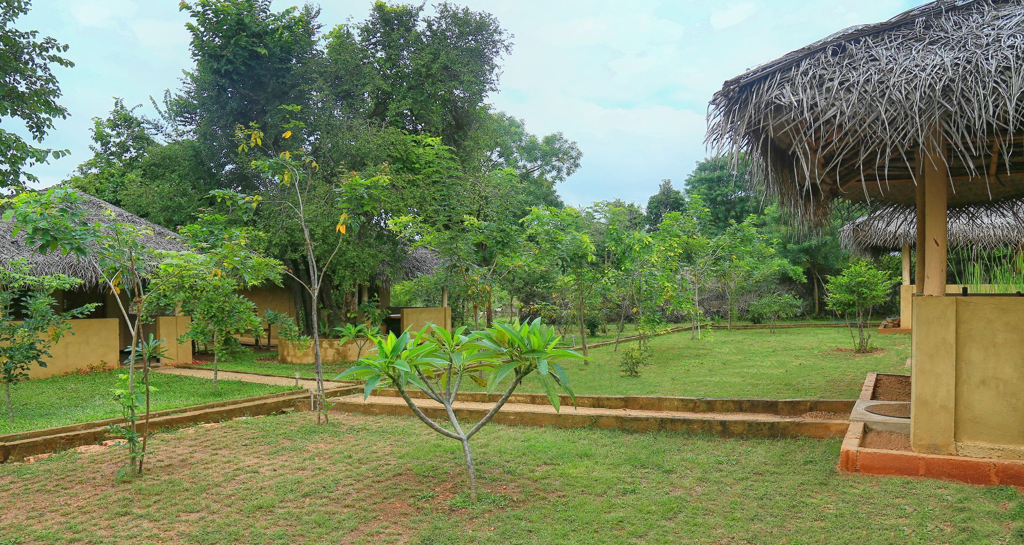 Hotel Niyagala Lodge Sigiriya Exteriör bild